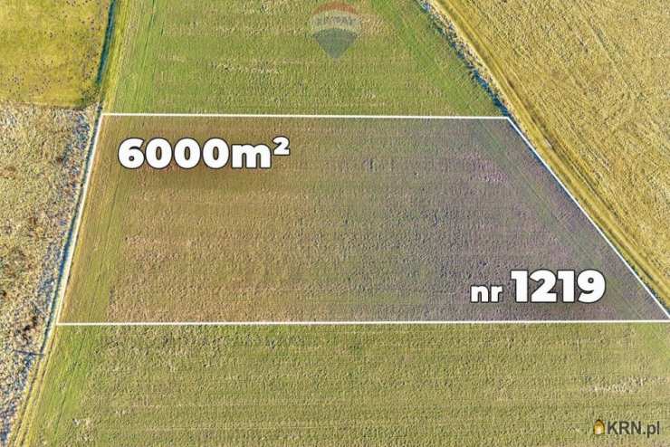 Działki  na sprzedaż, Chocianowiec, ul. , 