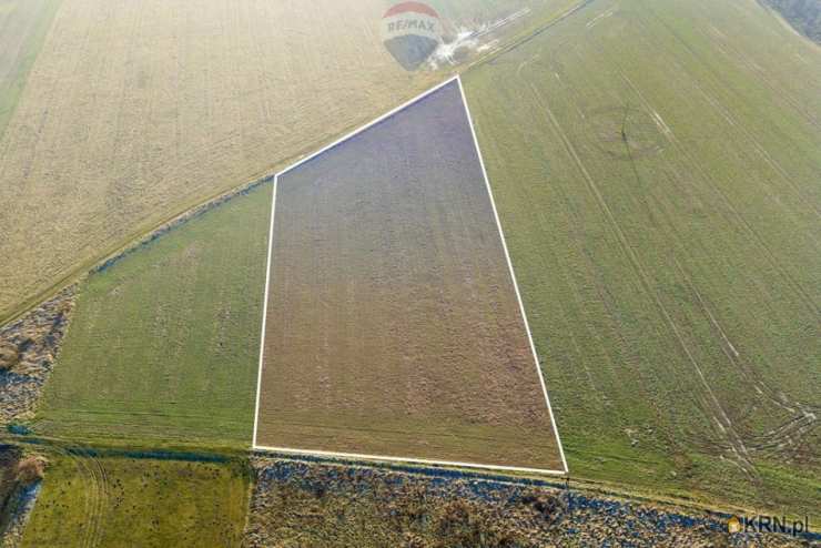 Chocianowiec, ul. , Działki  na sprzedaż, 