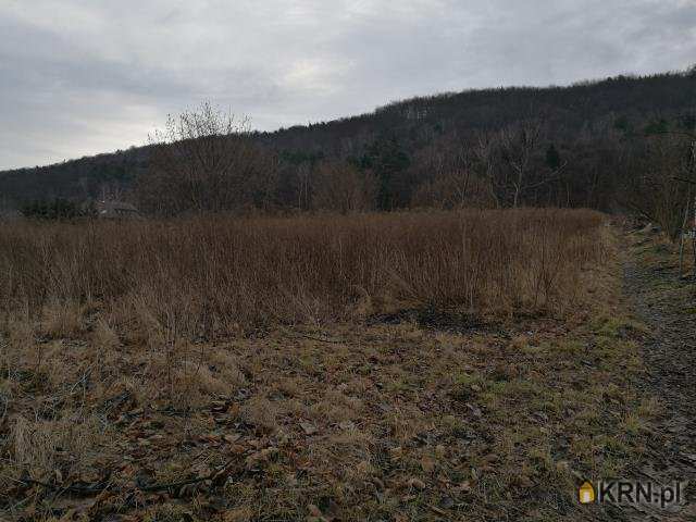 Działki  na sprzedaż, Kochanów, ul. , 
