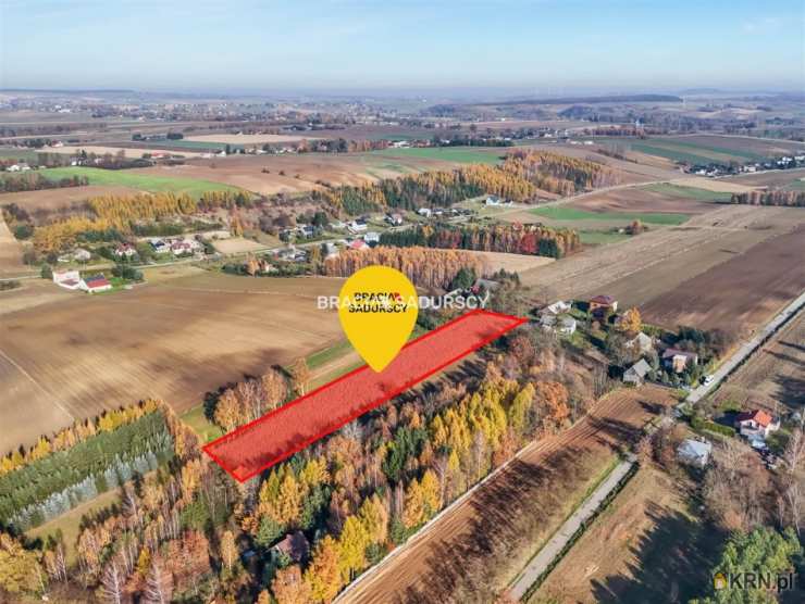 , Działki  na sprzedaż, Przesławice, ul. 