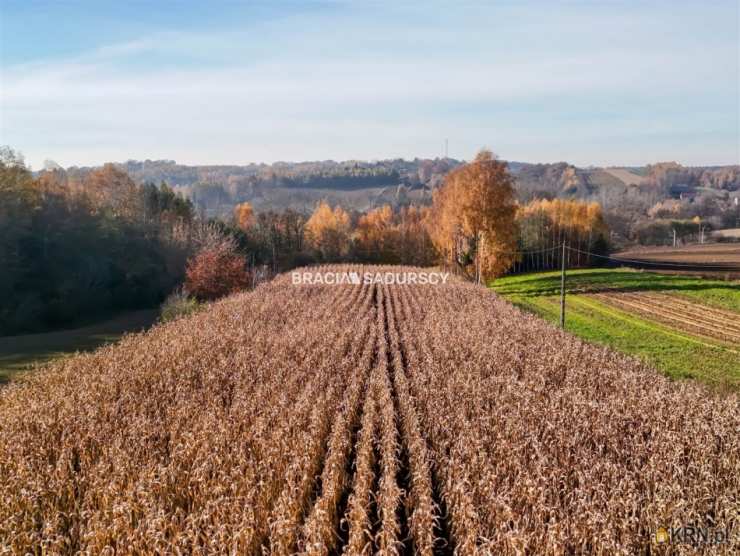 Przesławice, ul. , Działki  na sprzedaż, 