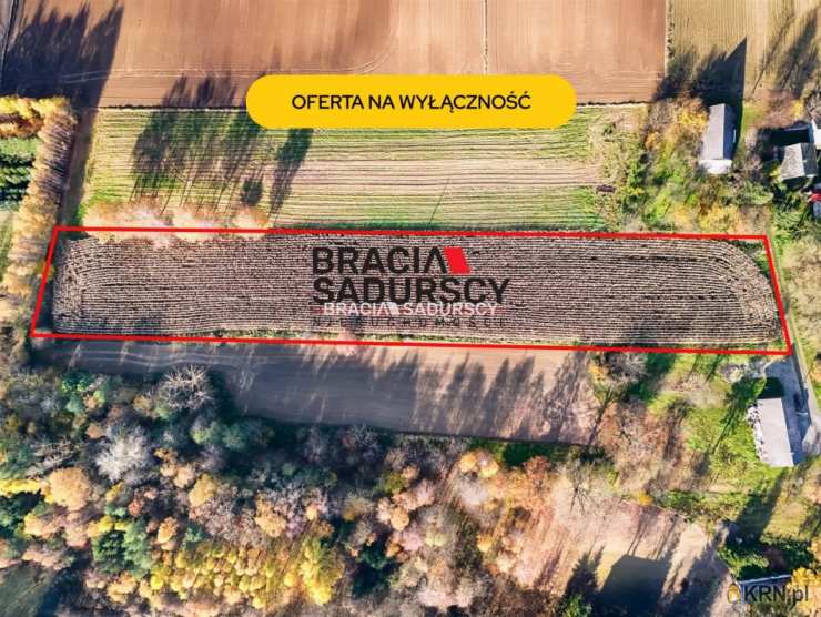 Działki  na sprzedaż, Przesławice, ul. , 