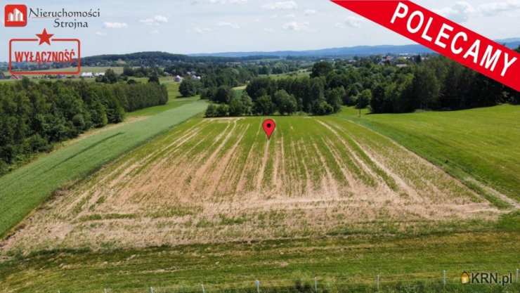 Działki  na sprzedaż, Sławkowice, ul. , 