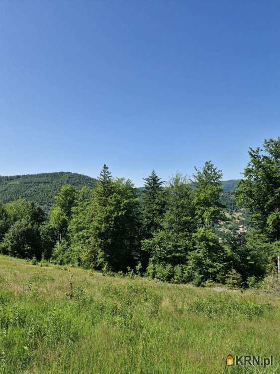 Działki  na sprzedaż, , Szczyrk, ul. 