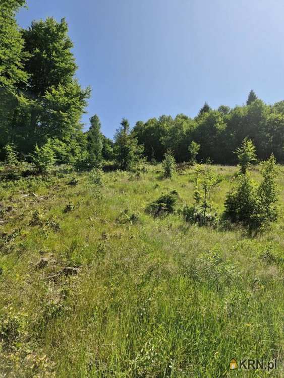 , Działki  na sprzedaż, Szczyrk, ul. 