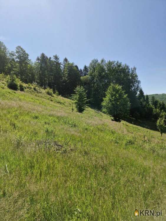 , Działki  na sprzedaż, Szczyrk, ul. 