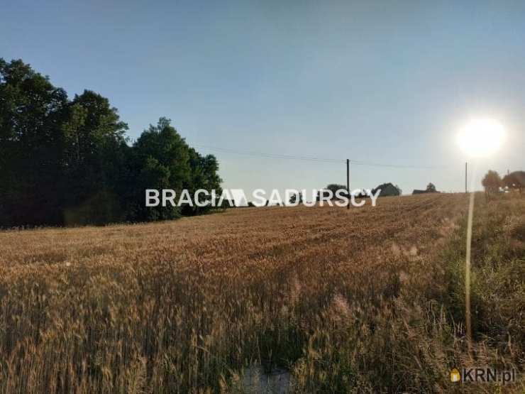 Działki  na sprzedaż, Nowa Wieś, ul. , 