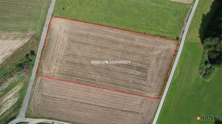 Szyk, ul. , , Działki  na sprzedaż