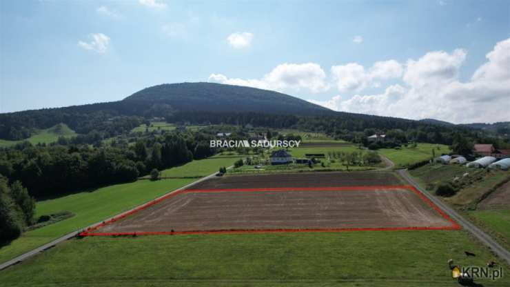 Szyk, ul. , Działki  na sprzedaż, 