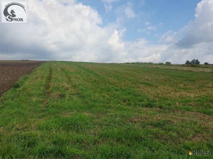 Działki  na sprzedaż, , Radziszów, ul. 