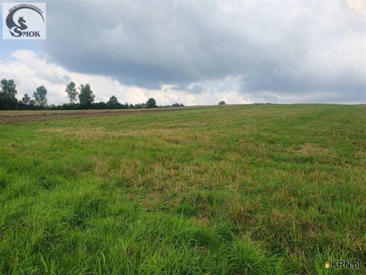 Radziszów, ul. , Działki  na sprzedaż, 