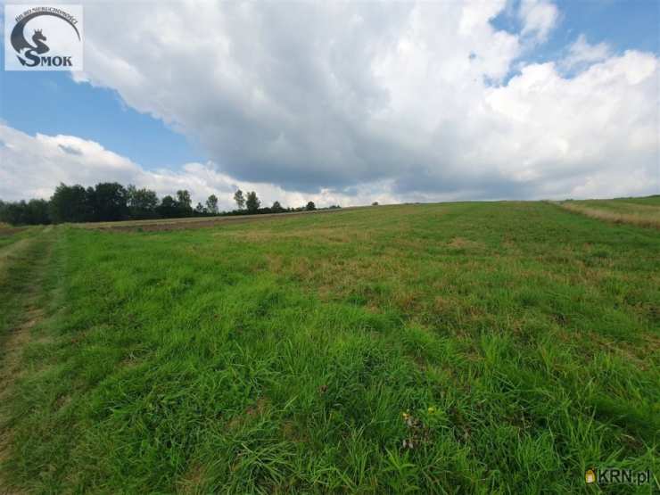 , Działki  na sprzedaż, Radziszów, ul. 