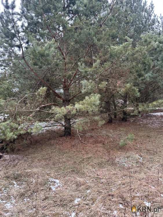 Cierpice, ul. , , Działki  na sprzedaż