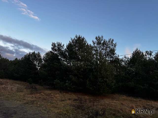 , Działki  na sprzedaż, Cierpice, ul. 