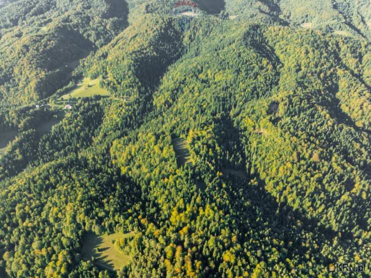 RE/MAX Polska, Działki  na sprzedaż, Harklowa, ul. 