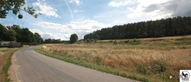 Działki  na sprzedaż, , Milcz, ul. 