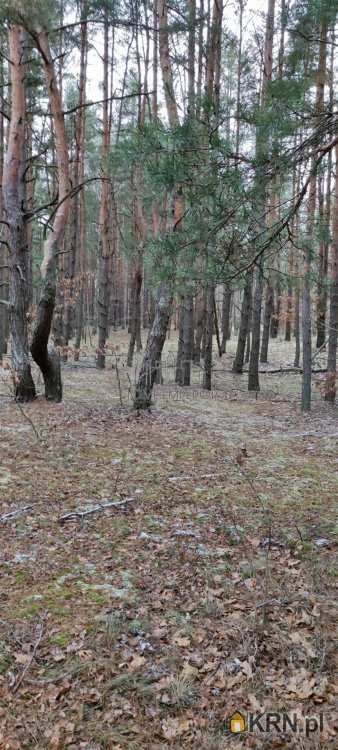 Działki  na sprzedaż, Warszawa, Wesoła/Groszówka, ul. S. Staszica (Wesoła), 