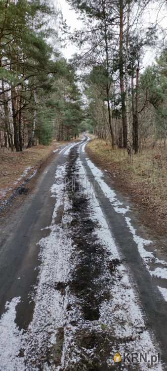 Działki  na sprzedaż, , Warszawa, Wesoła/Groszówka, ul. S. Staszica (Wesoła)