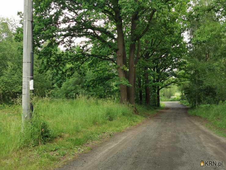 Działki  na sprzedaż, Kolonia Poczesna, ul. , 