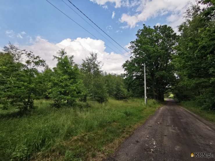 Działki  na sprzedaż, , Kolonia Poczesna, ul. 