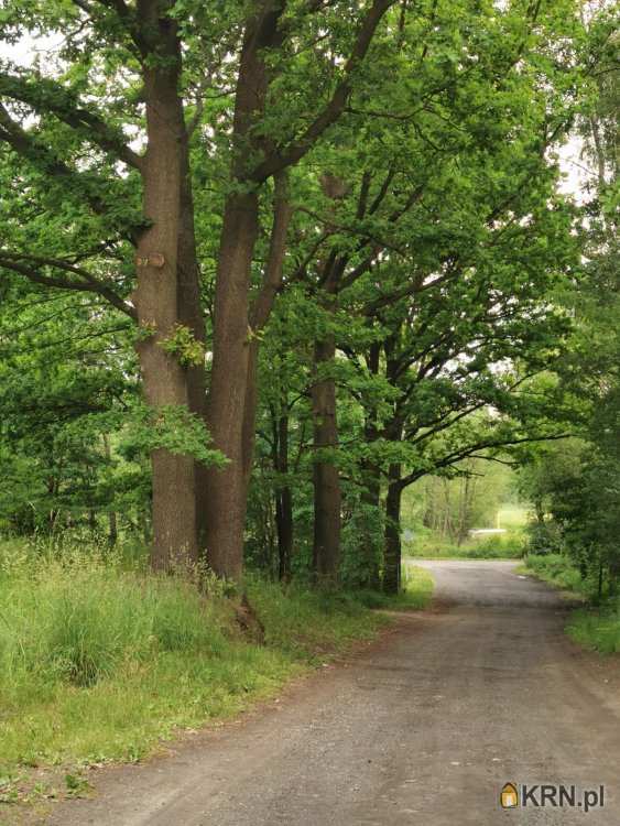 Kolonia Poczesna, ul. , Działki  na sprzedaż, 