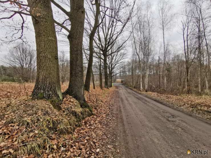 Kolonia Poczesna, ul. , , Działki  na sprzedaż