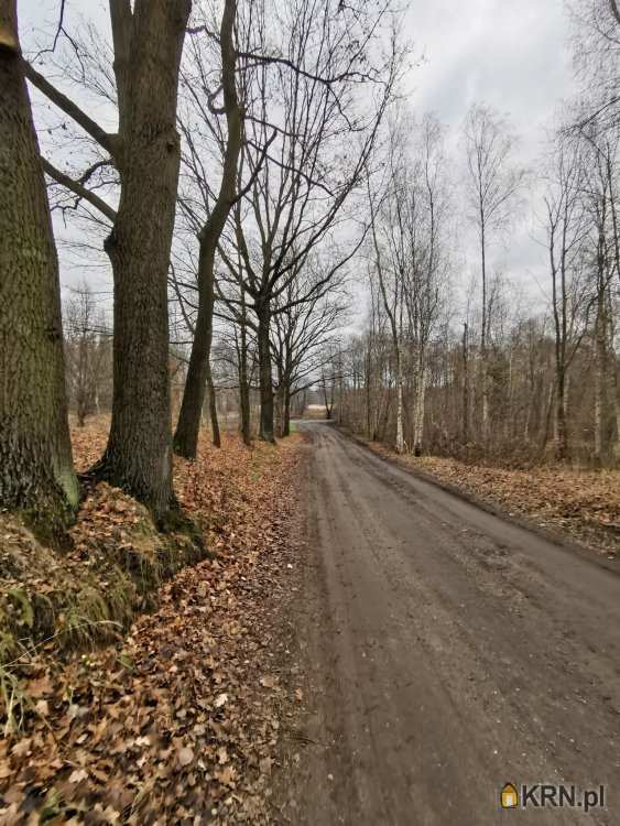 , Kolonia Poczesna, ul. , Działki  na sprzedaż