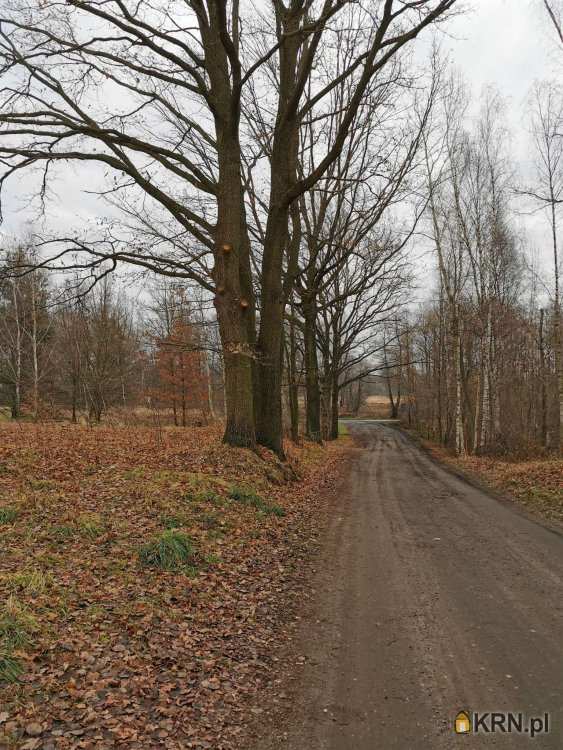 , Działki  na sprzedaż, Kolonia Poczesna, ul. 