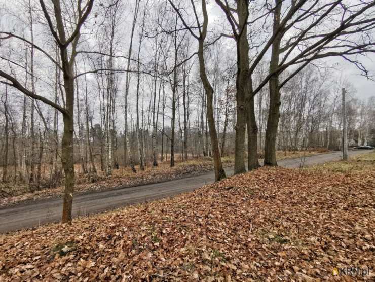 Działki  na sprzedaż, , Kolonia Poczesna, ul. 