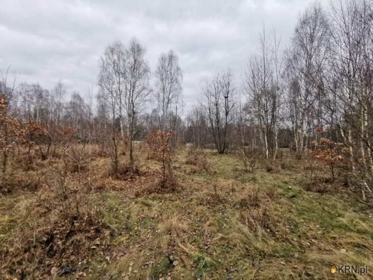 Kolonia Poczesna, ul. , Działki  na sprzedaż, 