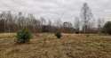 Działki na sprzedaż, Kolonia Poczesna