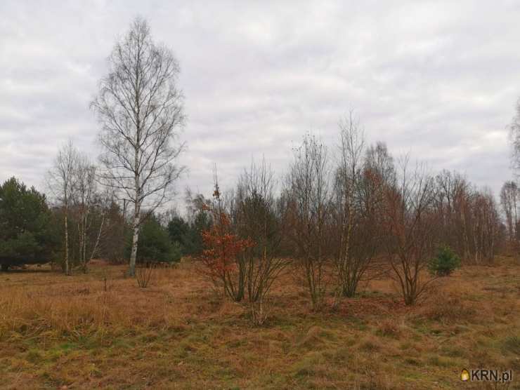 , Działki  na sprzedaż, Kolonia Poczesna, ul. 