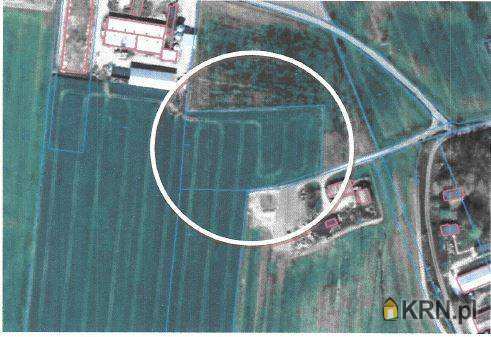 Działki  na sprzedaż, Wiktoryn, ul. , 