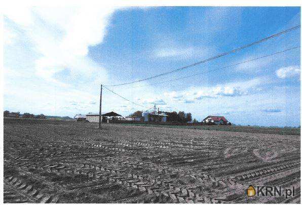 Działki  na sprzedaż, , Wiktoryn, ul. 