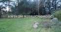 Działki na sprzedaż, Adamowice