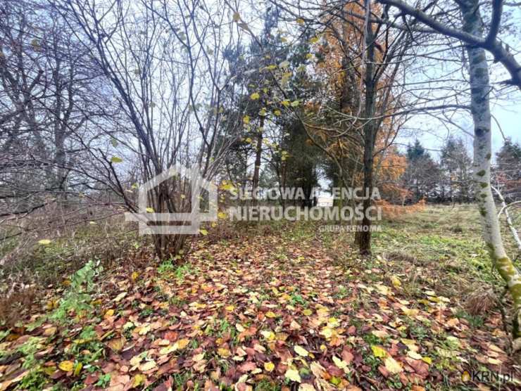 , Połęczyno, ul. , Działki  na sprzedaż