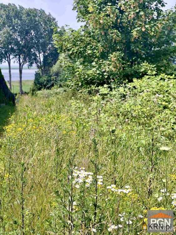 Działki  na sprzedaż, Zagórze, ul. , 
