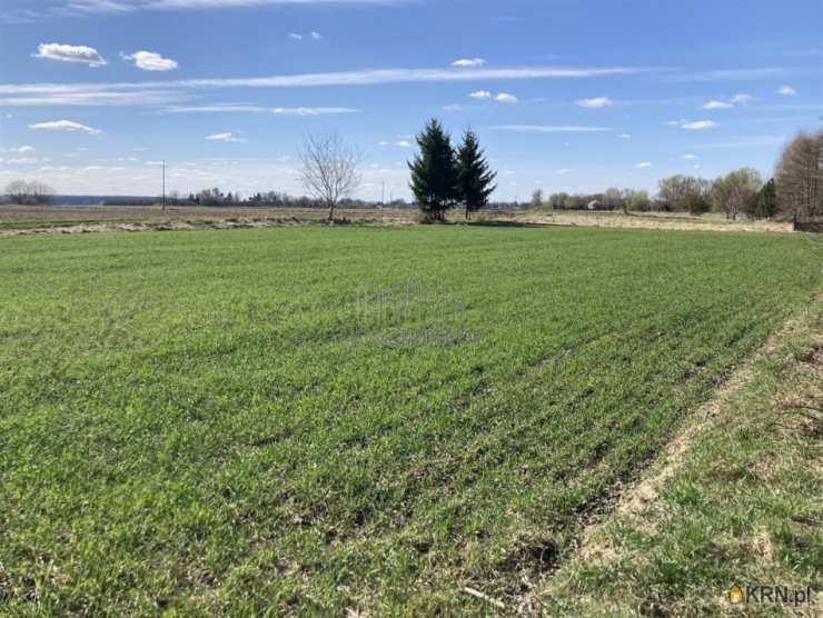 Działki  na sprzedaż, , Czernidła, ul. 