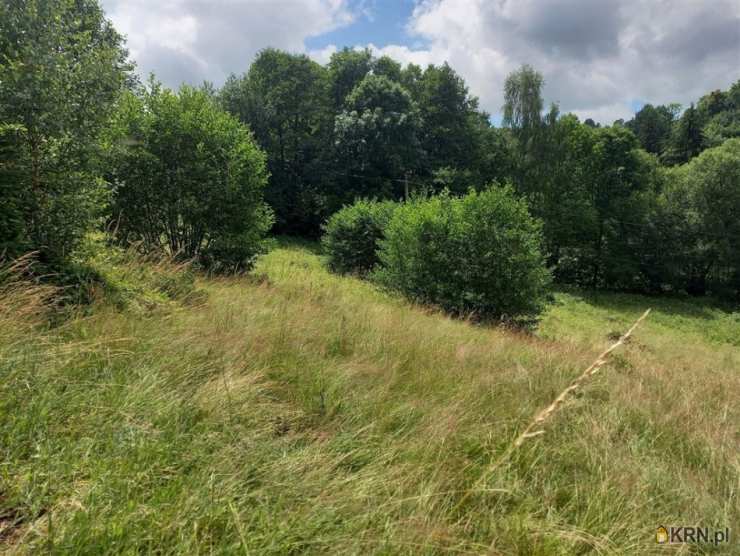 Działki  na sprzedaż, , Walim, ul. 