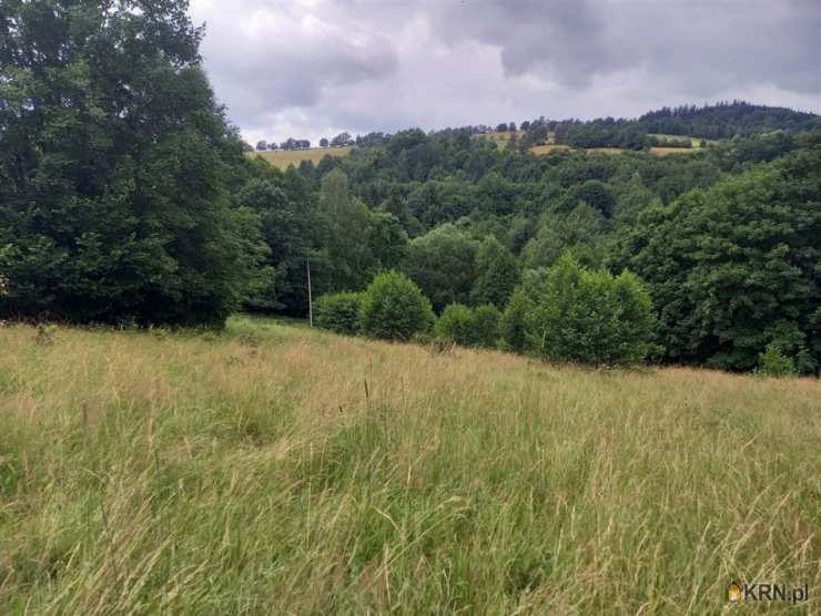 Walim, ul. , Działki  na sprzedaż, 