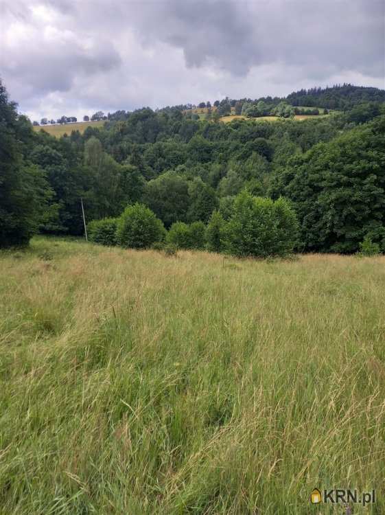 Walim, ul. , , Działki  na sprzedaż