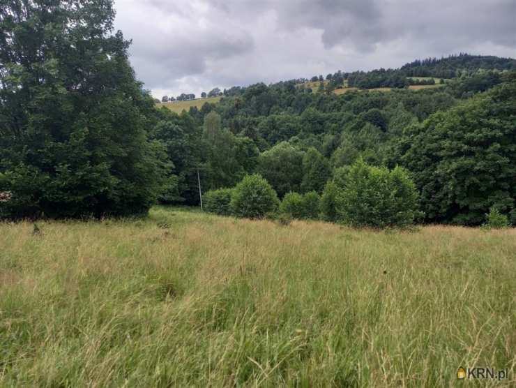 , Działki  na sprzedaż, Walim, ul. 