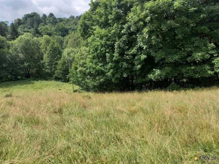 Walim, ul. , Działki  na sprzedaż, 