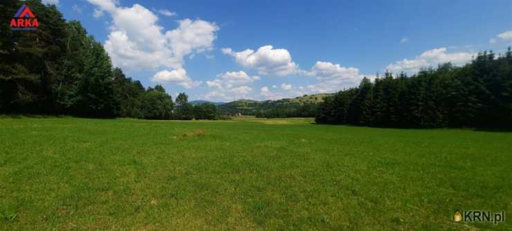 Mszana Dolna, ul. , , Działki  na sprzedaż