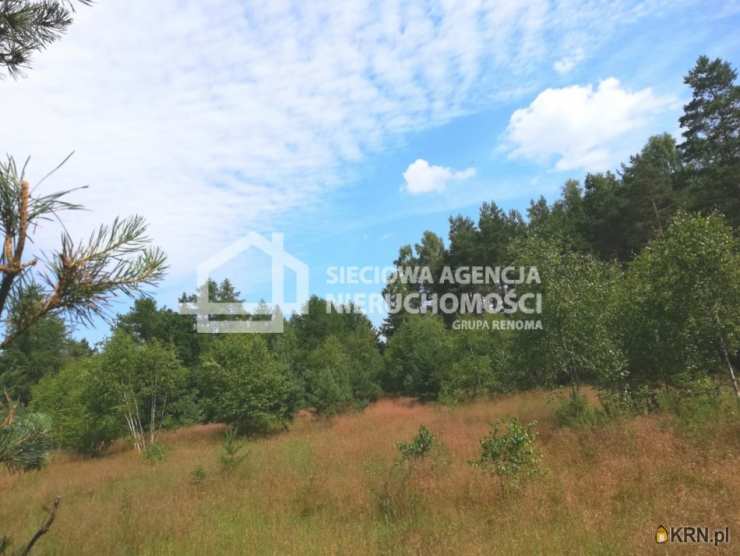 Działki  na sprzedaż, , Przodkowo, ul. 