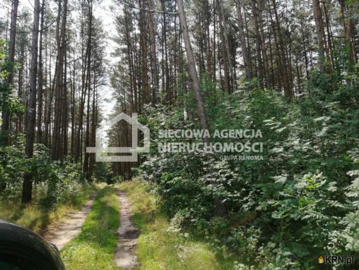 Przodkowo, ul. , Działki  na sprzedaż, 