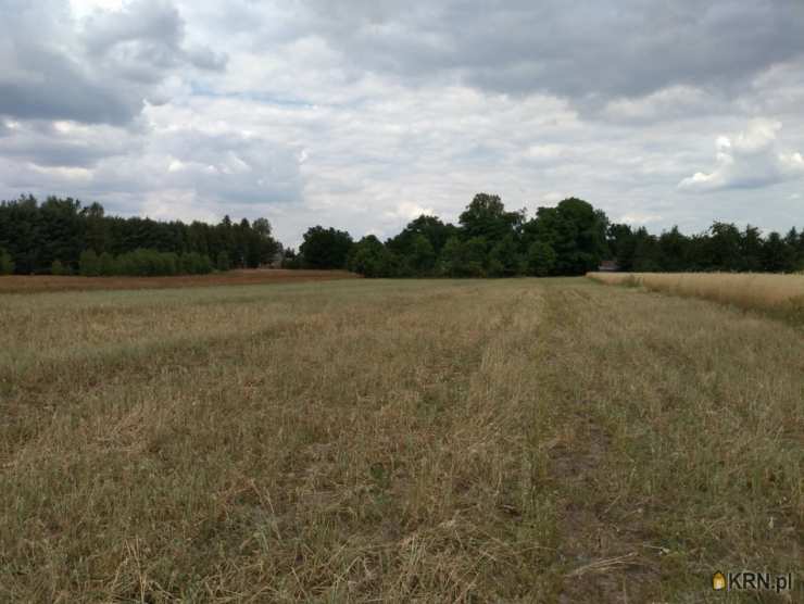 Działki  na sprzedaż, , Siucice, ul. 