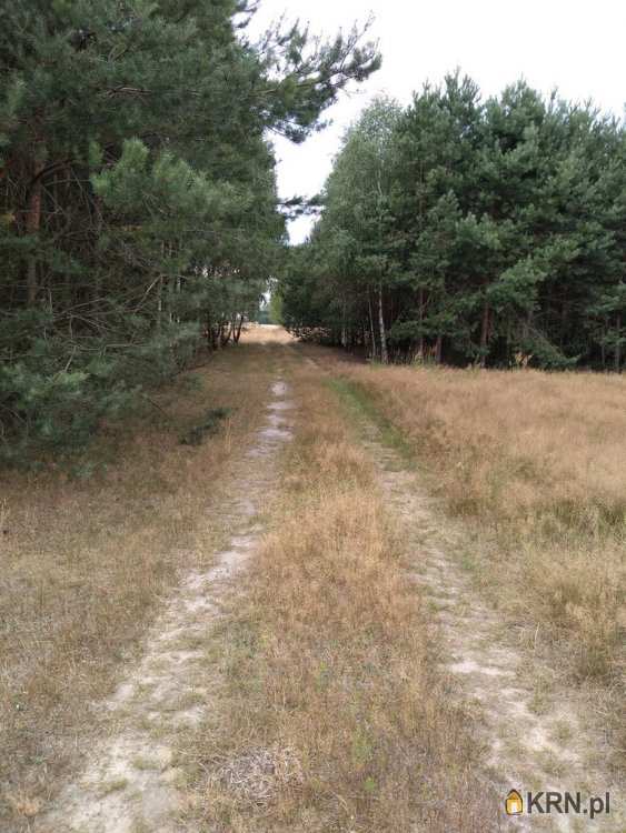 Siucice, ul. , Działki  na sprzedaż, 