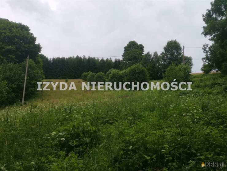 Działki  na sprzedaż, Walim, ul. , 