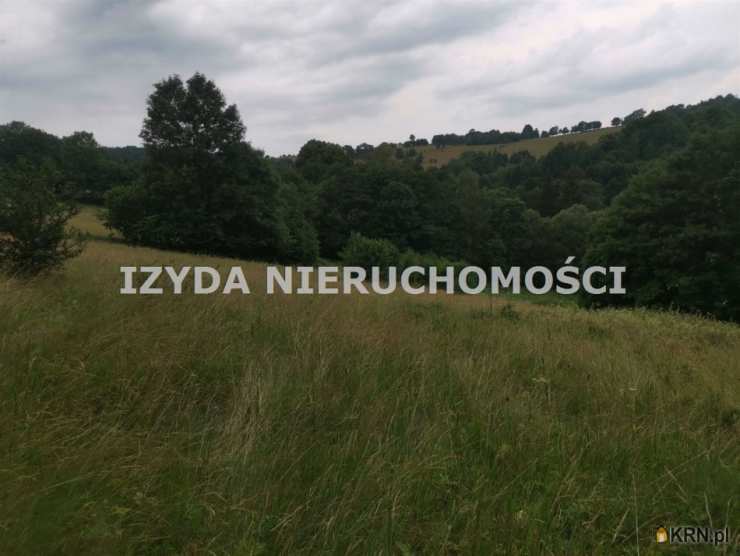 Działki  na sprzedaż, , Walim, ul. 